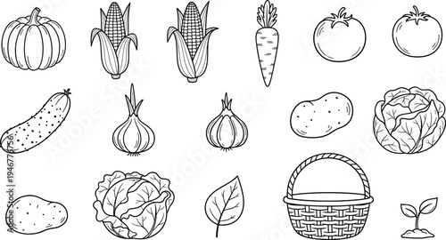 Collection of hand-drawn vegetables and a basket, perfect for healthy eating and farm themes