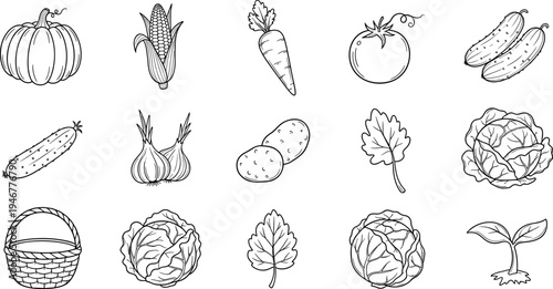 Collection of hand-drawn vegetables and a basket in a simple line art style
