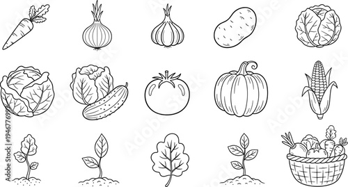 Collection of hand-drawn vegetables and seedlings in a simple line art style