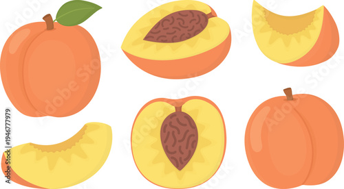 Set of ripe swet peaches, halves and slices. Bright illustration with healthy summer fruits
