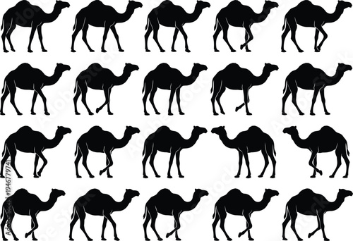 Camel silhouette collection walking dromedary desert animal set, camel poses bundle, Arabian camel vector silhouettes isolated illustration pack