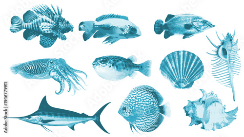 Marine Life Collection with Tropical Fish Squid and Seashells in Blue Vintage Engraving Style.