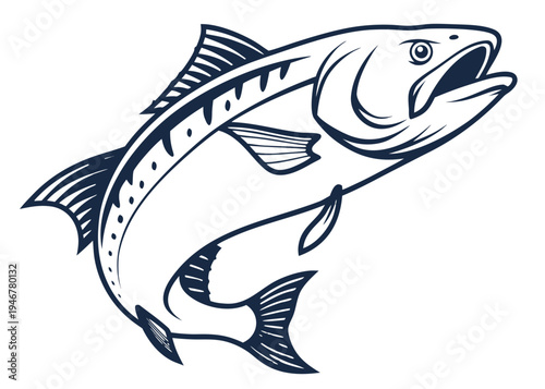 A detailed illustration of a large fish with a prominent dorsal fin and sharp teeth isolated on transparent background, isolated on white background, Vector