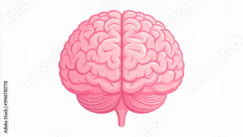 Stylized pink human brain illustration with detailed convolutions folds minimal decorative flat vector isolated on white background