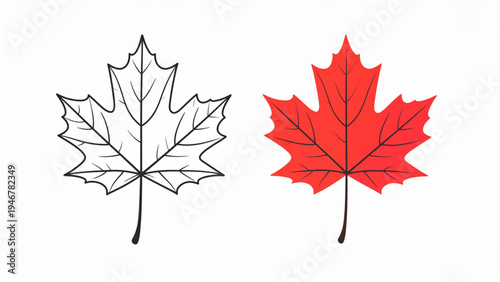 Two maple leaves displayed side by side one red and one black flat decorative vector illustration isolated on white background