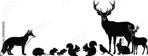 Silhouette illustration of diverse woodland animals including fox, hedgehog, mouse, squirrels, bird, rabbit, and deer, representing forest wildlife, ecology, and biodiversity themes