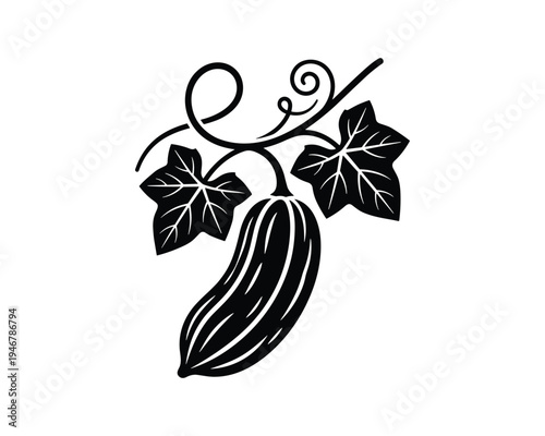 Bottle gourd vegetable plant icon black outline, organic fresh bitter melon squash, healthy food ingredient