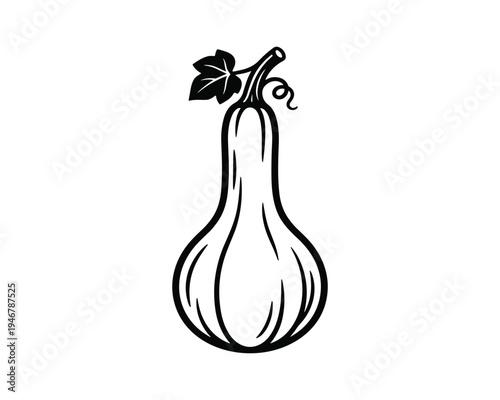 Butternut squash with leaves and stem isolated on transparent background