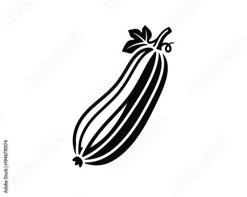Zucchini squash vegetable vector illustration for farm and gardening design