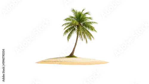 Billede på lærred Isolated tropical palm tree on a pristine desert sandy island, summer travel vac