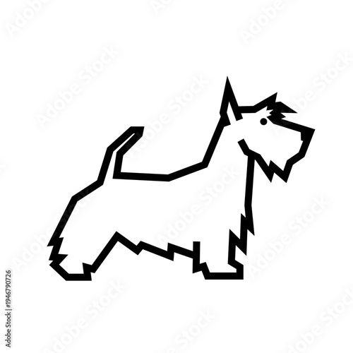Scottish Terrier 