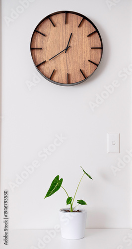 Принти на полотні clock on the wall with plant pot