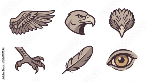 A collection of eagle parts including head, wing, claw, and eye. Vector icons perfect for a powerful and fierce brand mascot, emblem, or sports team logo design.