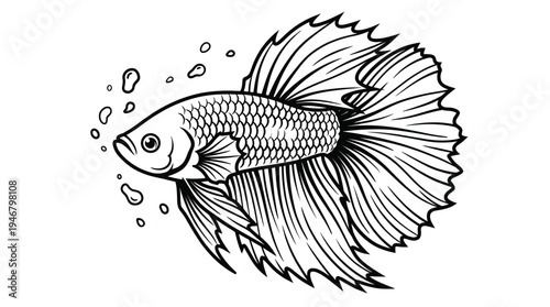 Monochrome line art of a Siamese fighting fish with beautiful fins and bubbles. This elegant graphic is great for aquatic logos, branding, pet store emblems, or coloring pages.