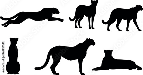 Silhouettes of running jaguar black vector illustration