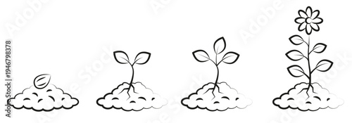 Stages of plant growth from seed to flower in linear style.