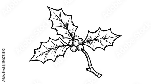 A hand-drawn black and white vector illustration of a holly branch with berries. A classic symbol for Christmas, winter holidays, and festive seasonal decoration designs.