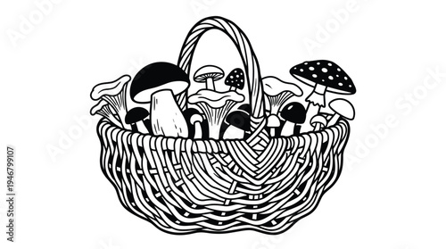 A hand-drawn vector illustration of a rustic wicker basket filled with various forest mushrooms. A simple, monochrome design perfect for logos, packaging, or coloring pages.
