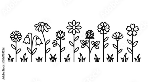 A simple black and white line art illustration of various wildflowers and grass. This minimalist vector border is perfect for spring or summer designs, web banners, and decor.