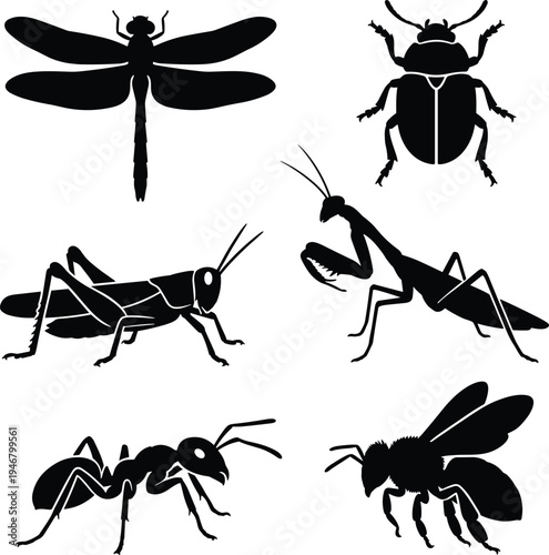 Black silhouettes of six different insects including dragonfly beetle grasshopper praying des