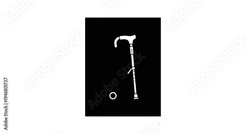 Minimalist Illustration of a Walking Stick Set Against a Stark Black Background