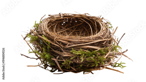 Isolated natural empty bird nest woven from dry twigs and fresh green moss, spring symbol