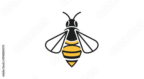 Black and Yellow Bee Illustration.