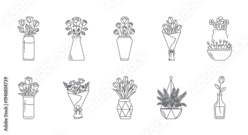 Variety of Potted Plants and Succulents.