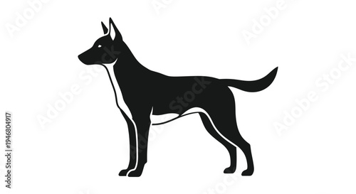 Black dog standing profile view.