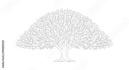 Tree illustration with detailed branches.