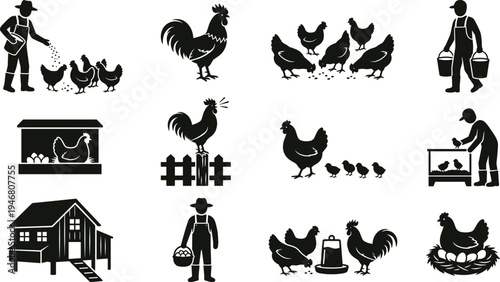 Comprehensive Poultry Farming Icon Set Featuring Rooster Hen with Chicks Farmers Feeding Chickens Gathering Eggs and Traditional Barn Silhouettes