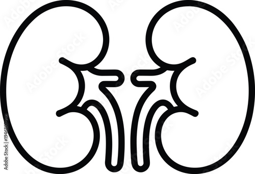 Minimalist human kidneys outline icon, black and white renal system vector illustration for medical urology health, anatomy education and healthcare hospital signage