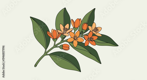 Orange flower branch with green leaves.