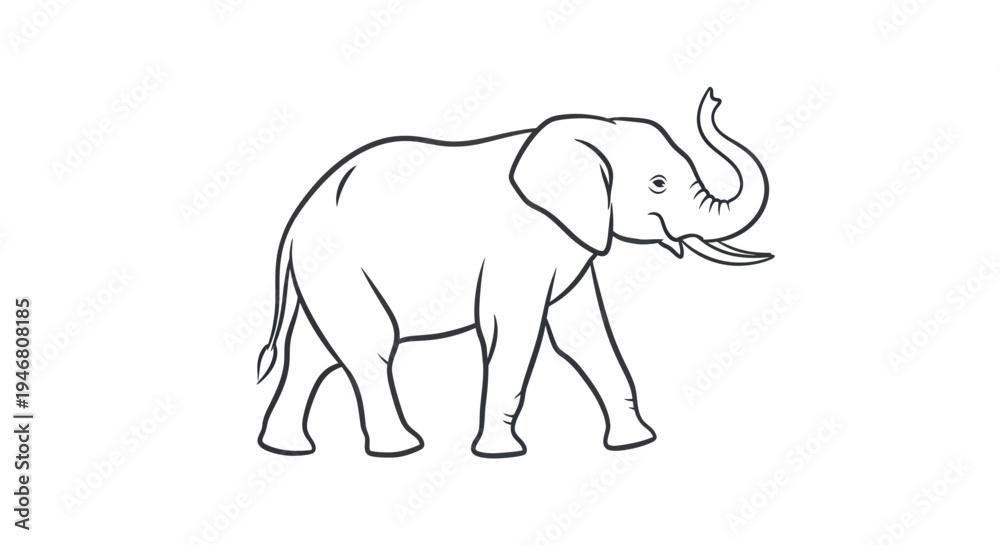 Fototapeta premium Large Gray Elephant Walking Sideways Slowly.