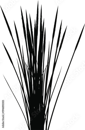 Striking silhouette of tall, narrow blades of dark ornamental grass creating an intense contrast against a stark white background for graphic design elements.
