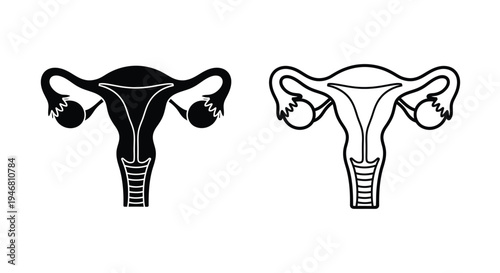 Two black and white illustrations of a female uterus and ovaries
