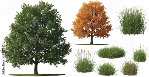 Diverse collection of cutout trees featuring lush summer foliage and vibrant autumn colors alongside various ornamental and wild grass clumps isolated on transparent background.