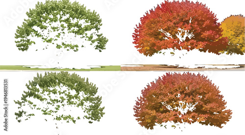 Four distinct seasonal tree representations showcasing vibrant green foliage and rich autumn colors against a black background ideal for composite work