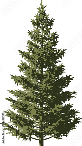 Realistic three dimensional rendering of a mature evergreen spruce tree featuring dense green foliage and hanging brown pine cones isolated on white background