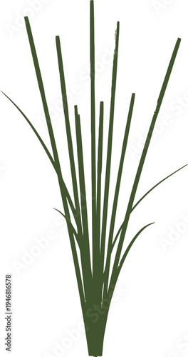 Realistic artificial decorative reed grass arrangement with slender green stalks perfect for interior design accents and contemporary visual displays