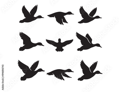 A group of birds in flight against a white background Vector