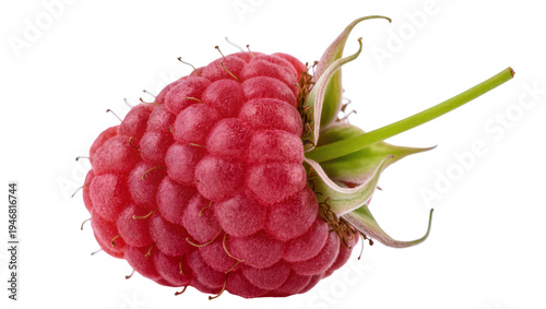 Fotografie Isolated fresh delicious healthy ripe red raspberry fruit with green stem and se