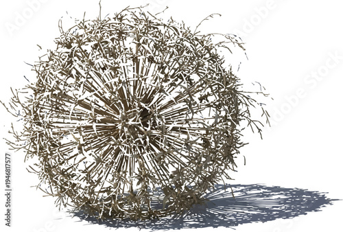 Dried tumbleweed structure isolated against a transparent background casting a distinct shadow on the pale ground below it