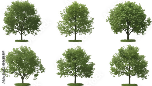 Collection of six isolated realistic green deciduous trees rendered with detailed foliage and trunks ready for architectural visualization projects