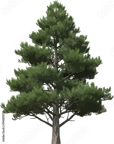 Detailed three dimensional render of a healthy mature pine tree specimen showcasing dense green needles and textured bark isolated on a white background for design use.