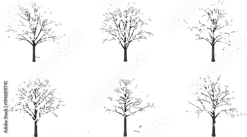 Collection of six distinct bare deciduous trees completely frosted with white snow and casting shadows on a transparent background perfect for isolation