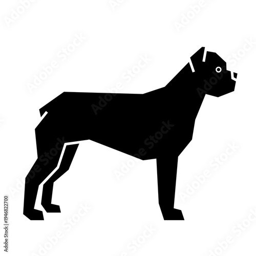 Cane Corso