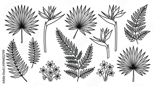 A versatile black and white vector collection of tropical leaves, ferns, and bird of paradise flowers, perfect for elegant designs, patterns, and exotic branding. Modern nature outline illustrations.