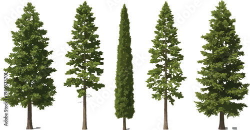 Collection of five distinct green coniferous evergreen trees featuring various shapes and sizes isolated on a transparent background for digital design projects