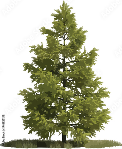 Realistic isolated digital rendering of a vibrant green conifer tree with detailed needles and a small patch of base grass for cutout design projects